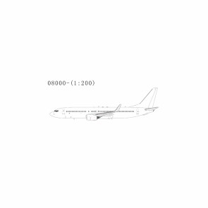 Blank Boeing 737-800/w NG08000 NG Model 1:200